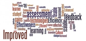 Assessment and Feedback themes/issues wordle